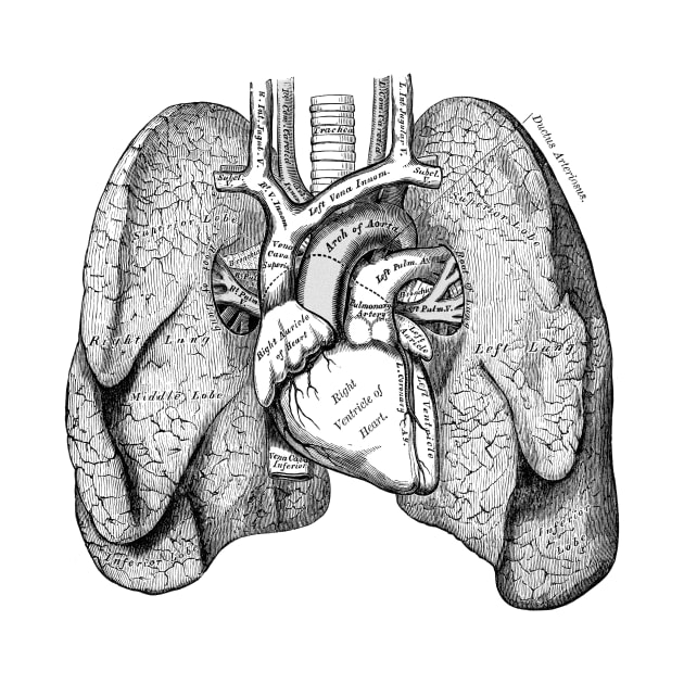 Human Body - Lungs by be yourself. design