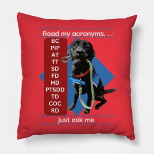 Read my acronyms (Back) Pillow