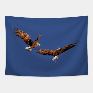 White tailed Eagle Tapestry