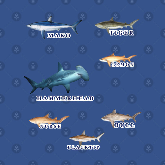Disover Favorite Florida Keys Sharks - Sharks Of The Florida Keys - T-Shirt