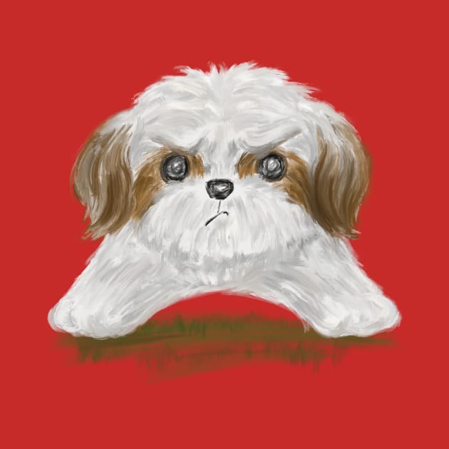 Grumpy Shih Tzu by sanogawa