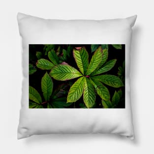 The Palmately Compound Leaf Pillow