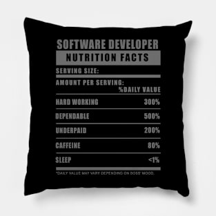 Software Developer Humor Pillow