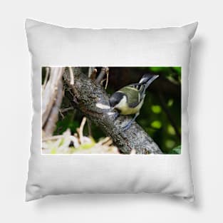 NEW  THE PANASONIC FZ 1000 PAR OKAIO CREATION Pillow