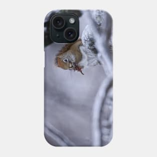 Winter Squrrel Phone Case