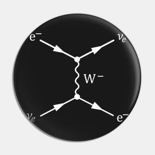 Weak Interaction Feynman Diagram Pin