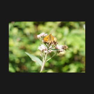 Bee And Moth On Water Hemp Flower T-Shirt