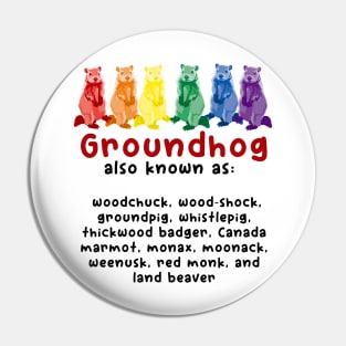 A Rainbow Groundhog By Any Other Name Pin