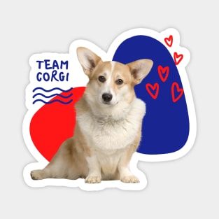 Corgi Lover Gift Magnet