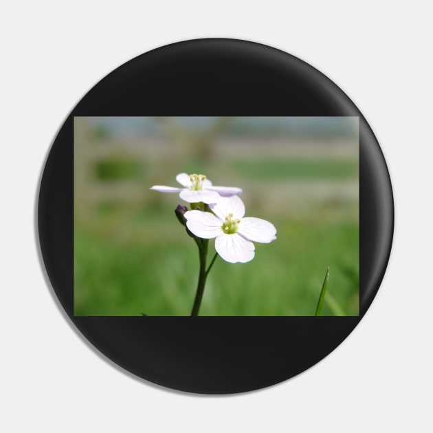 Cuckoo Flowers In The Grass Pin by AH64D