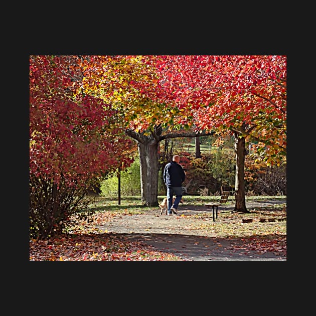 Man Walking Dog in Autumn Park by SusanSavad
