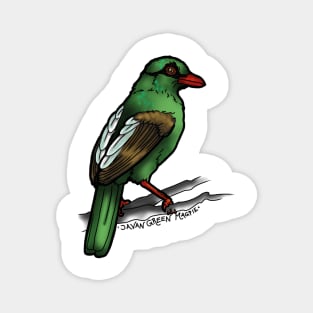 Javan Green Magpie 2 SING FOR SONGBIRDS Magnet