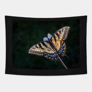 Tiger Swallowtail Butterfly backlit Tapestry