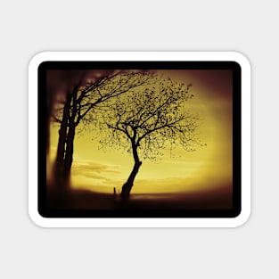 Morning Tree Silhouette. Magnet