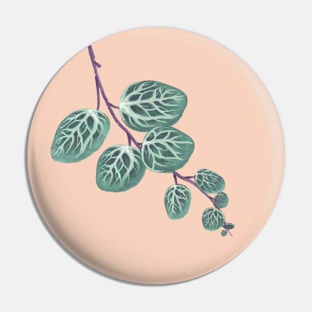 Peperomia Prostrata Leaf Pin by Khotekmei