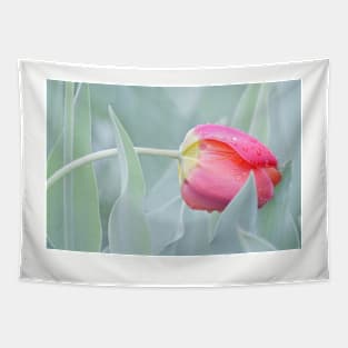 Drooped Tulip Tapestry