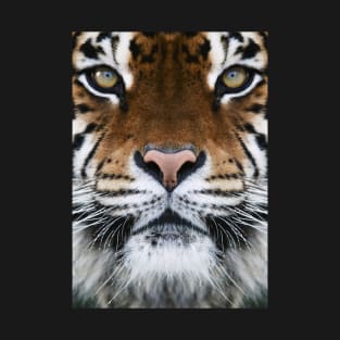 Bengal tiger face T-Shirt