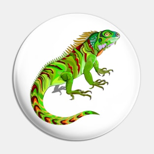 Illustration of green iguana. Pin