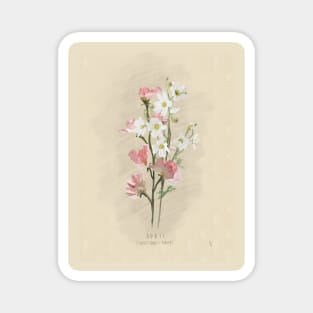 April Flower Birth Month Illustration Magnet