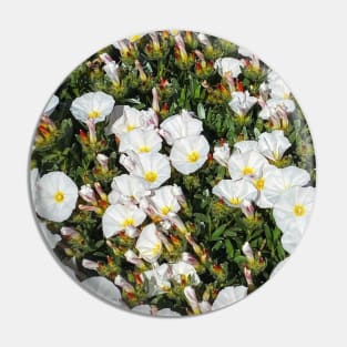 White flowers Pin