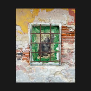 Gorilla in cage, Český Krumlov street art. T-Shirt