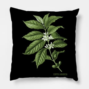 Coffea Arabica - Coffee Pillow