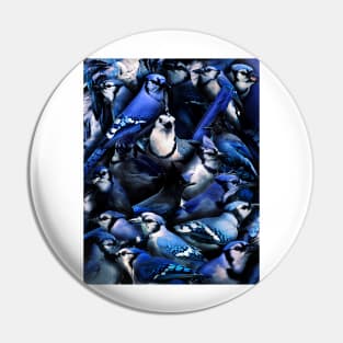 Blue Jay Pin