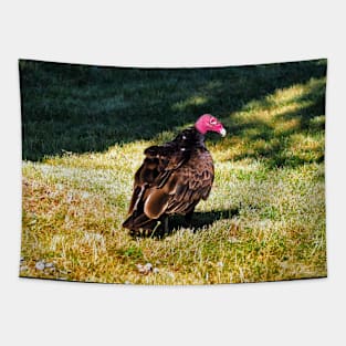 Turkey Vulture Staring Tapestry