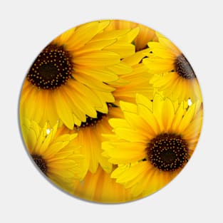 Sunflower Explosion! Pin