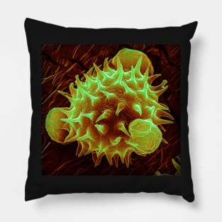 Pollen - Daisy (Orange) Pillow