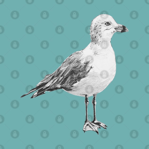 Ring-billed gull drawing by EmilyBickell