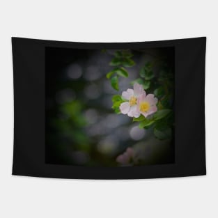 WILD ROSES ARE PEACHY ! Tapestry