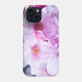 Photography - Plum blossom Phone Case