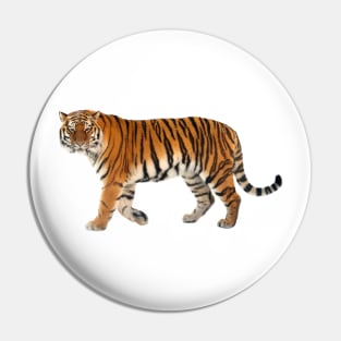 Siberian Tiger Pin