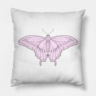 Black Swallowtail Butterfly in Pink Pillow