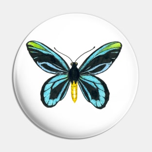 Queen Alexandra' s birdwing butterfly Pin