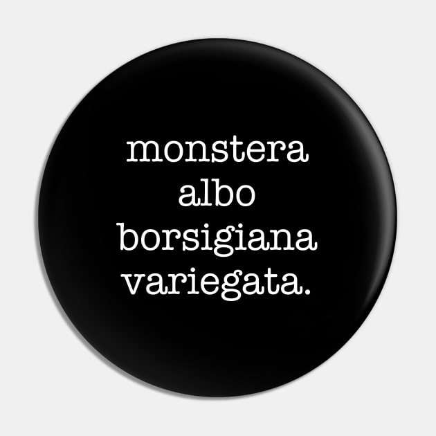 Monstera Albo Borsigiana Pin by Viewfinder
