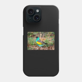 Hooded Parrot, Northern Territory Phone Case