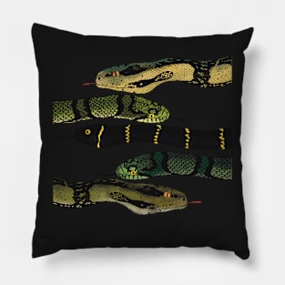 Snakes Pillow