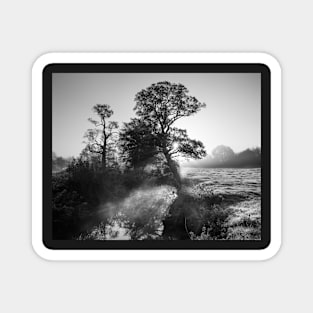 Water Meadow Mist Magnet