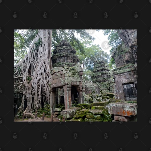 Ta Prohm Temple, Siem Reap, Cambodia by Kirkcov