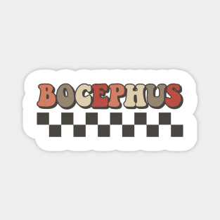 Bocephus Checkered Retro Groovy Style Magnet