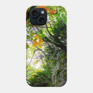 Scenery from Eremo di Soffiano in Sarnano between the Sibillini Mountains with foliage Phone Case