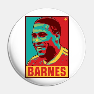 Barnes Pin