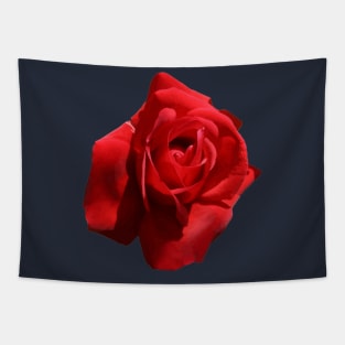 The Perfect Red Rose Photograph Cut Out Tapestry