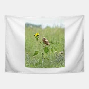 Burrowing Owl Tapestry