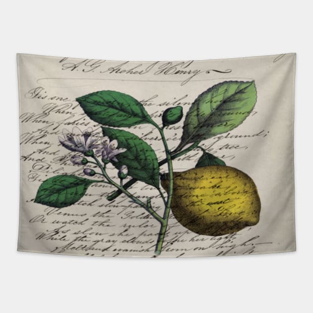 dark academia vintage Mediterranean fruit orchard citrus blossom yellow lemon Tapestry by Tina