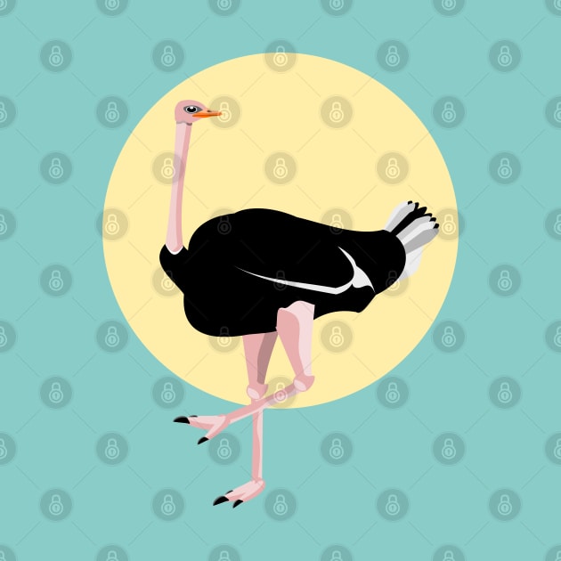 Ostrich by mailboxdisco