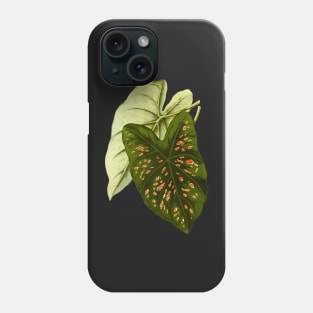 Caladium Freckles - botanical illustration Phone Case