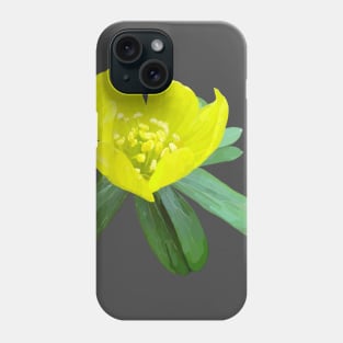 Winter aconite Phone Case